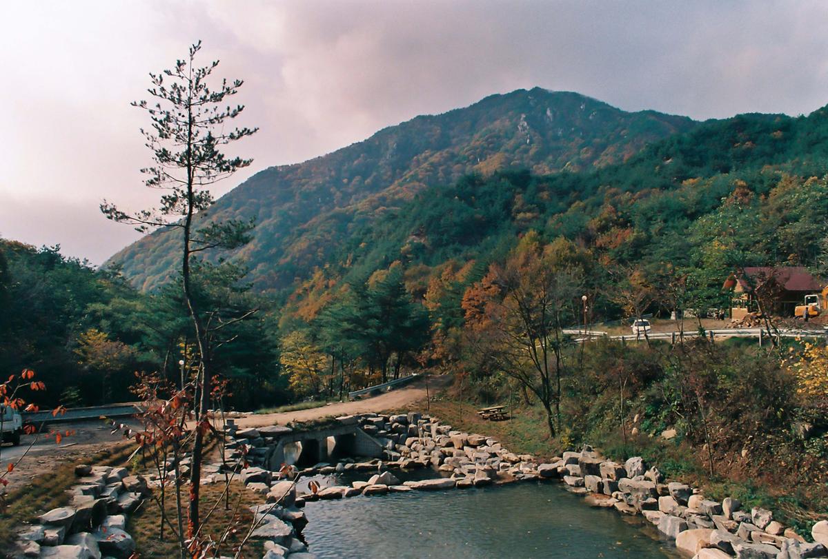 오도산자연휴양림