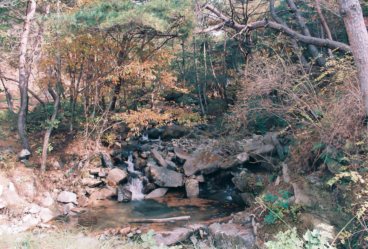 오도산자연휴양림