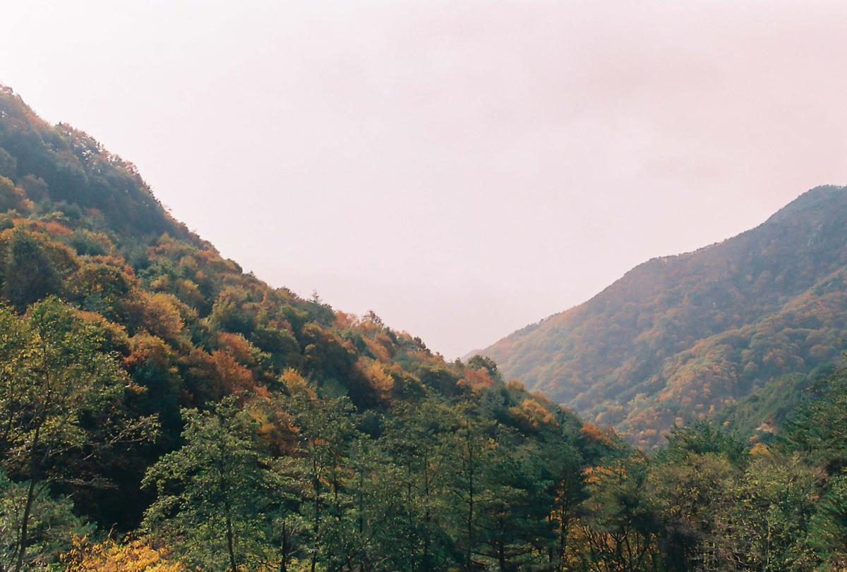 오도산자연휴양림