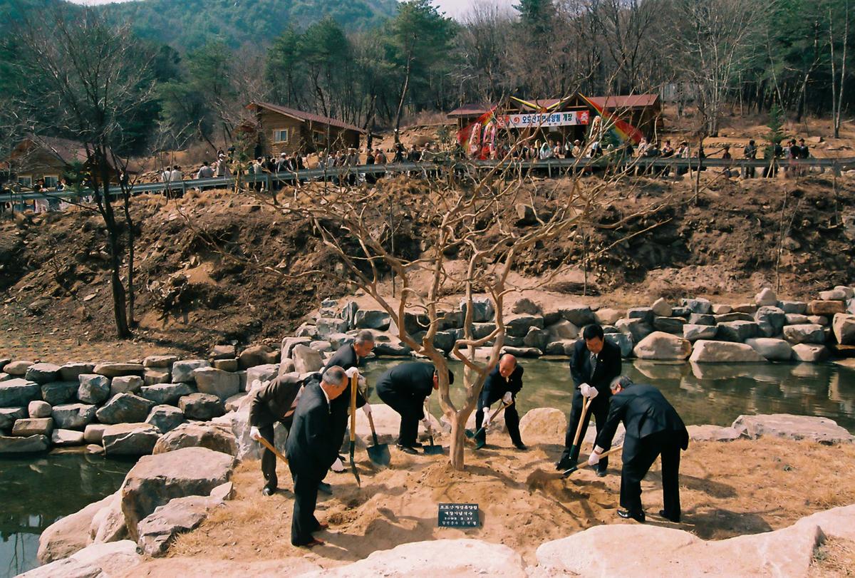 오도산자연휴양림 개장
