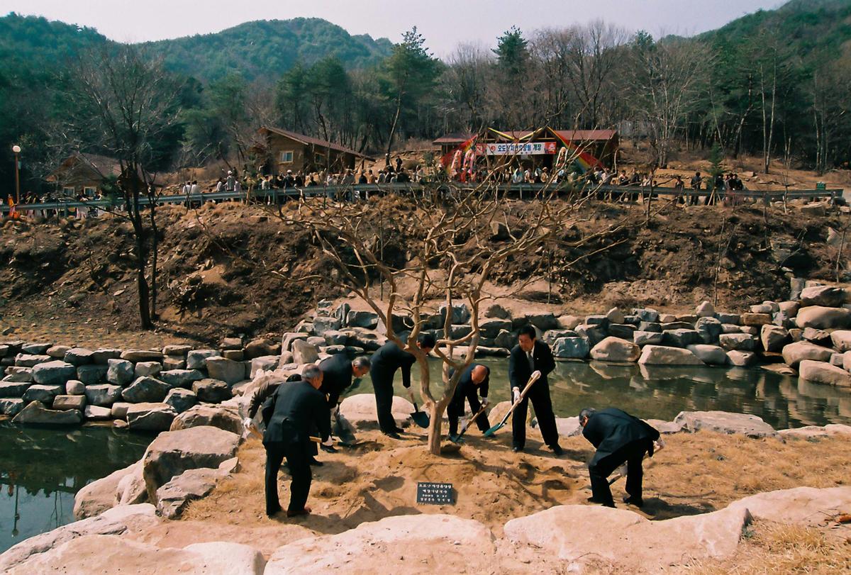오도산자연휴양림 개장