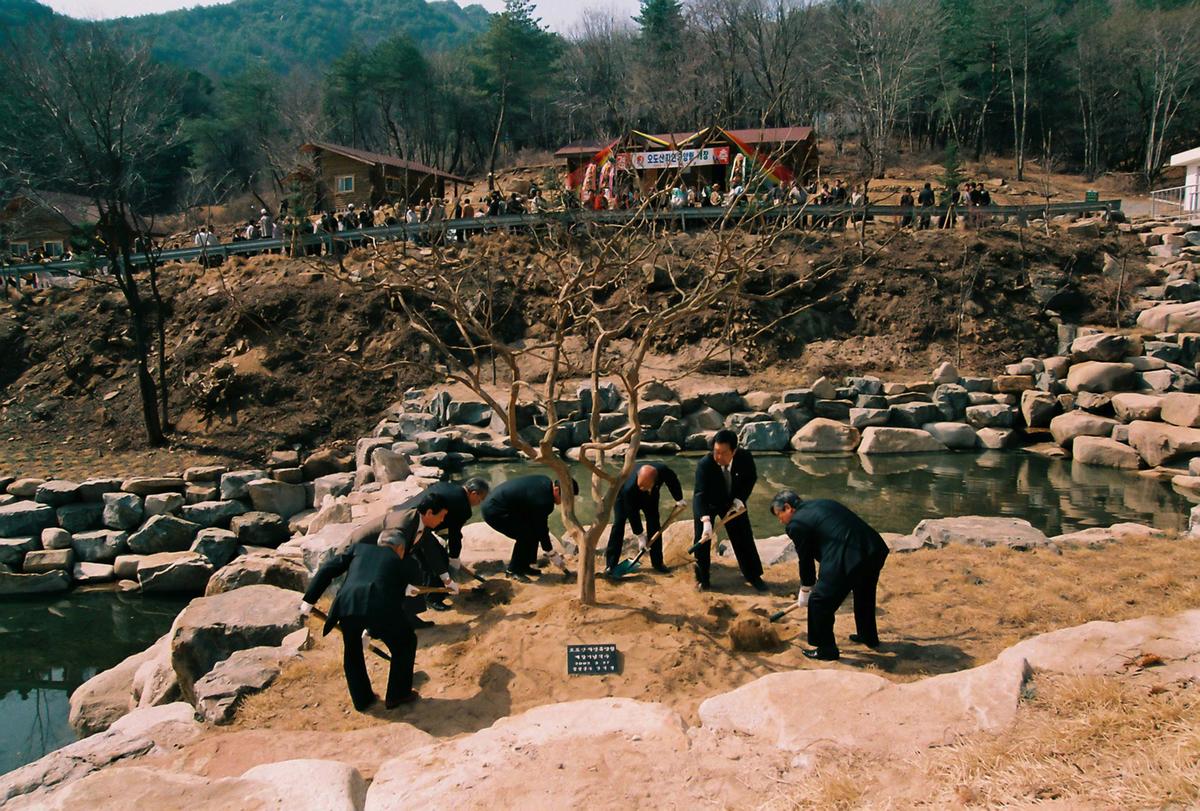 오도산자연휴양림 개장