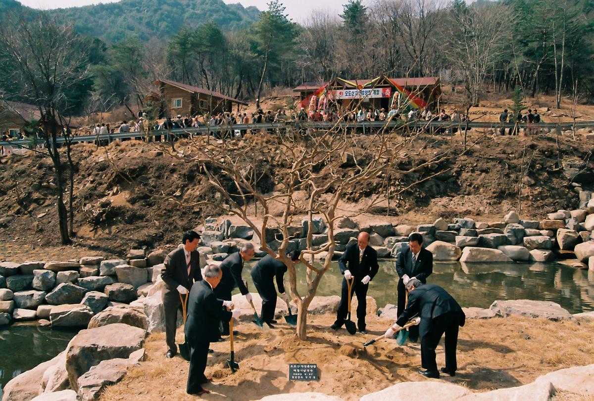 오도산자연휴양림 개장