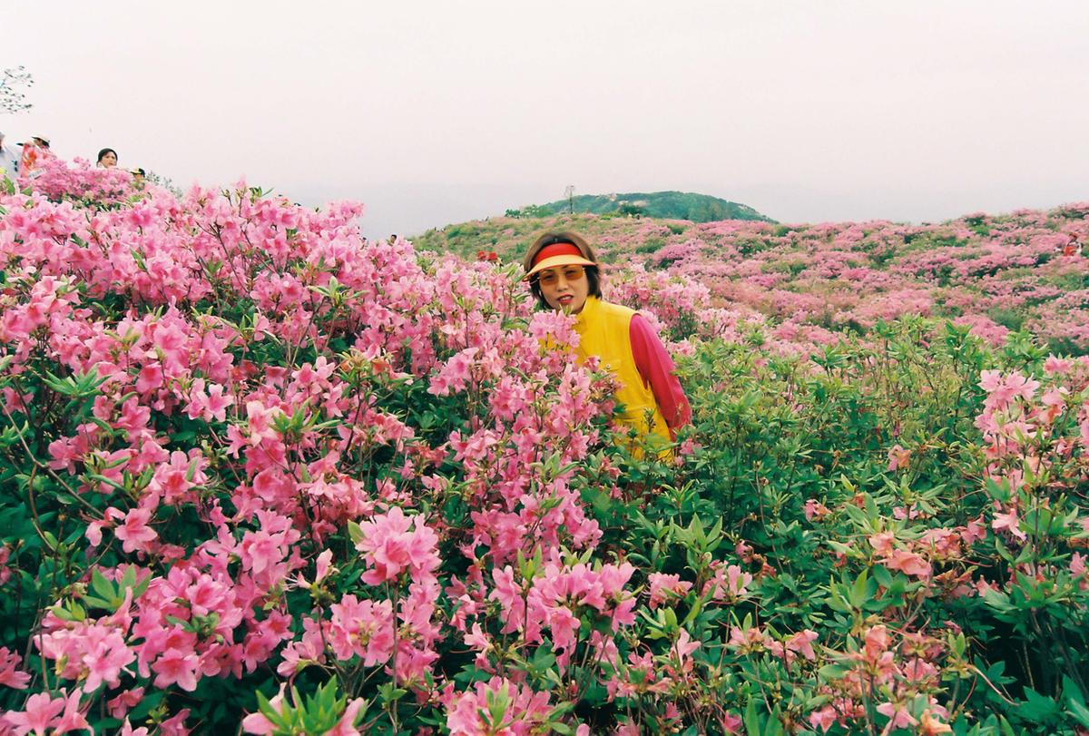 제6회 황매산 철쭉제례