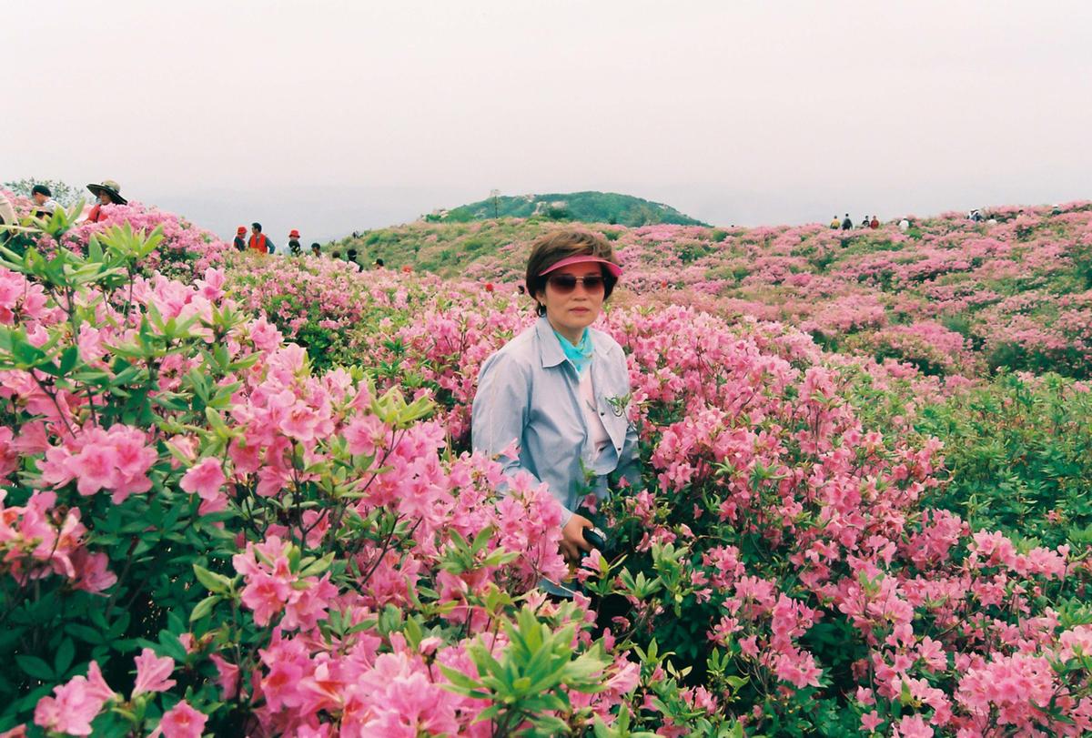 제6회 황매산 철쭉제례