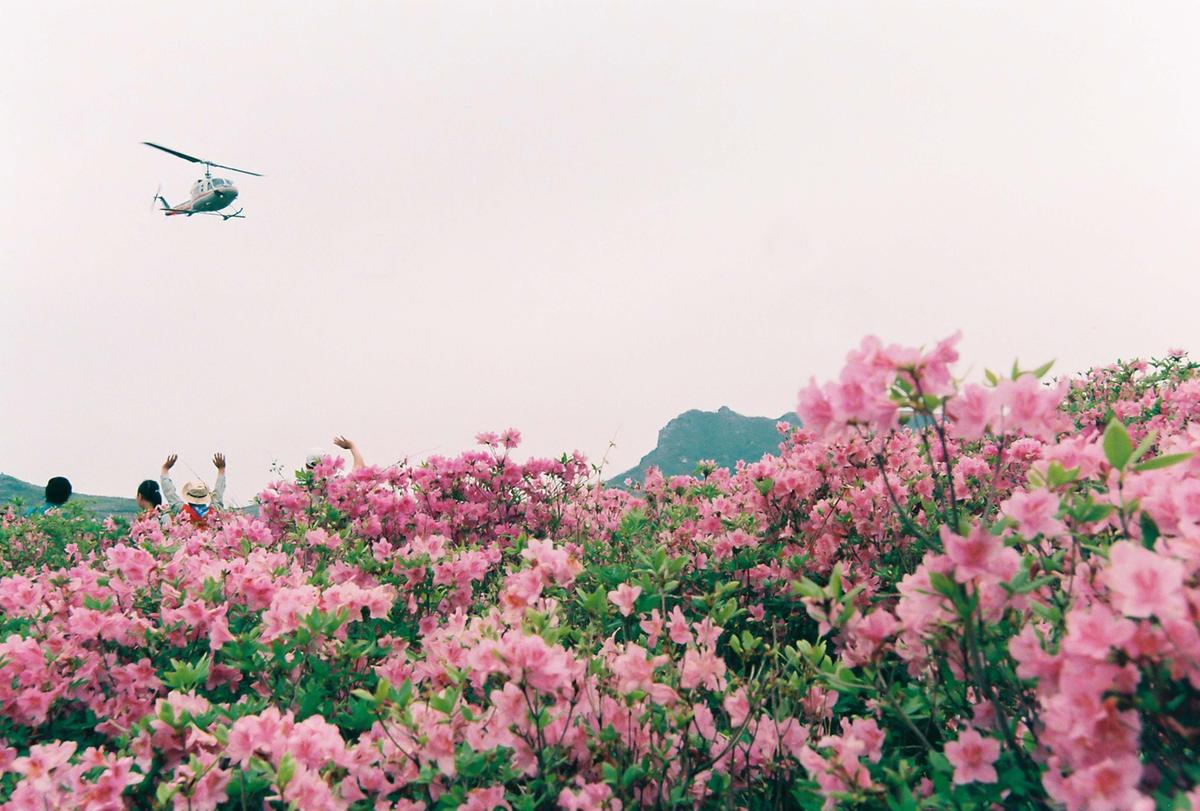 제6회 황매산 철쭉제례