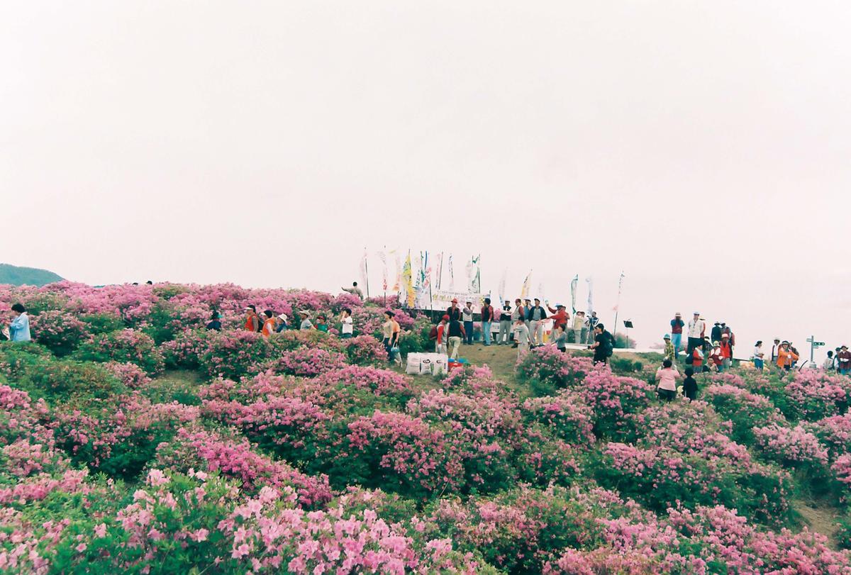 제6회 황매산 철쭉제례