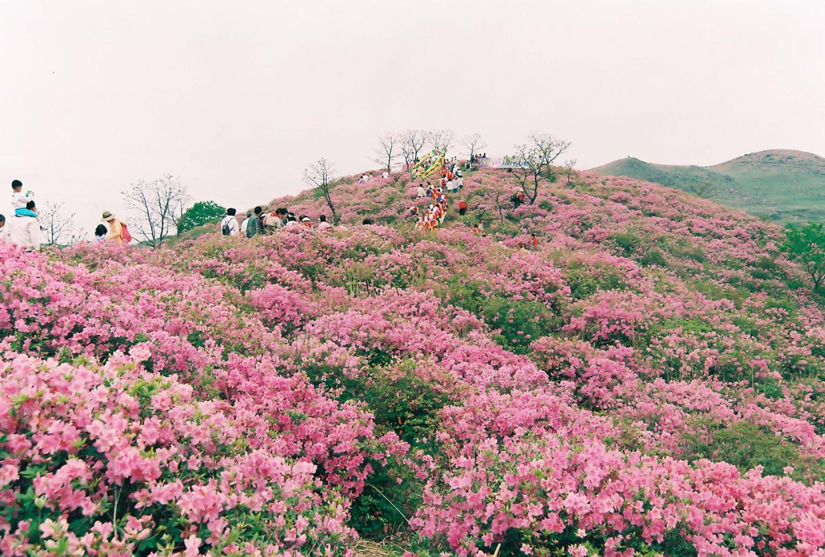 제6회 황매산 철쭉제례