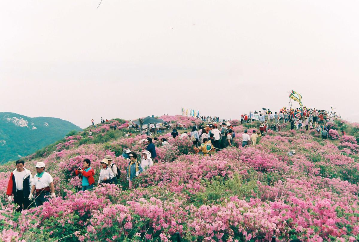 제6회 황매산 철쭉제례
