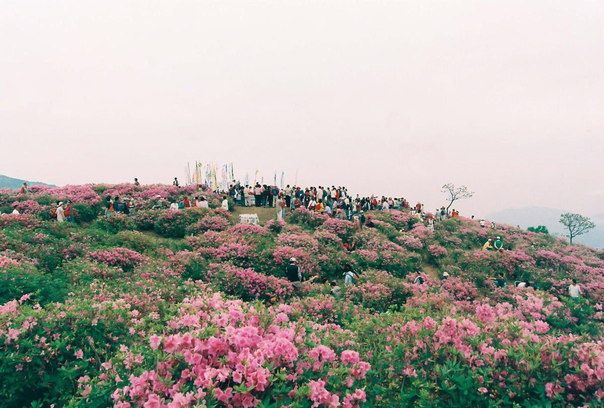 제6회 황매산 철쭉제례