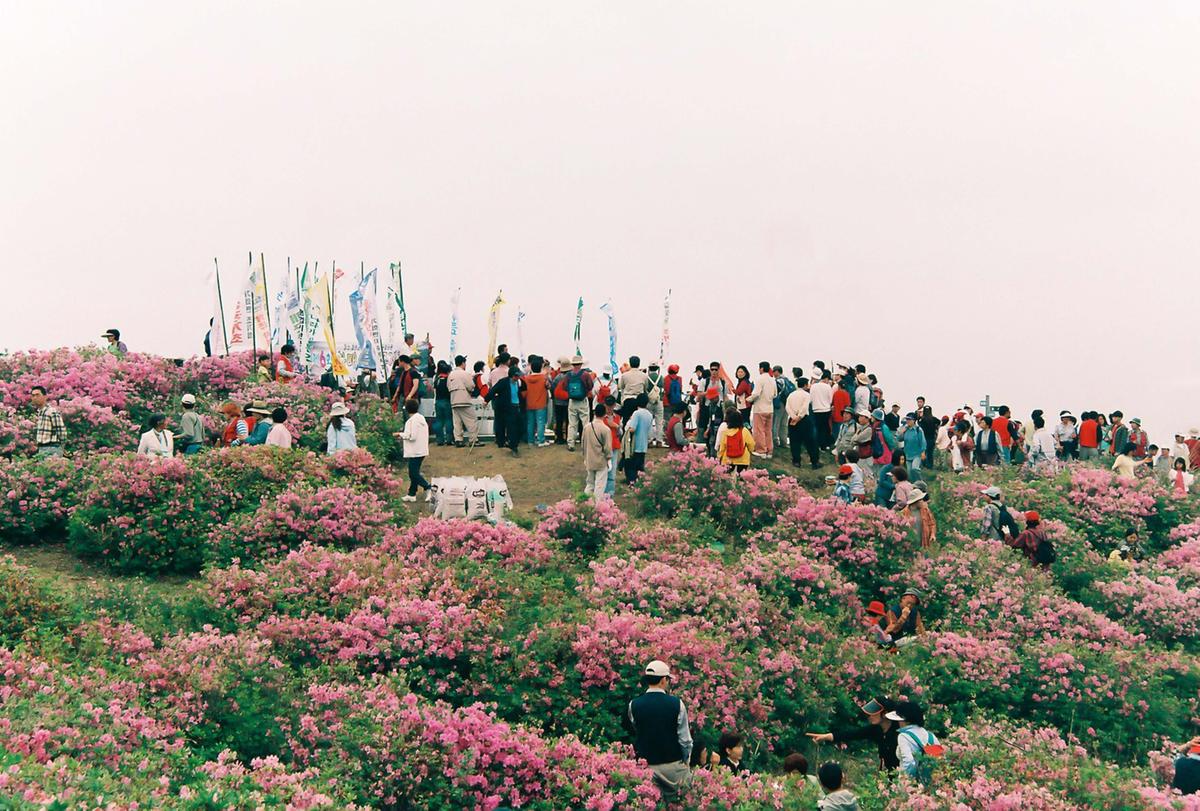 제6회 황매산 철쭉제례
