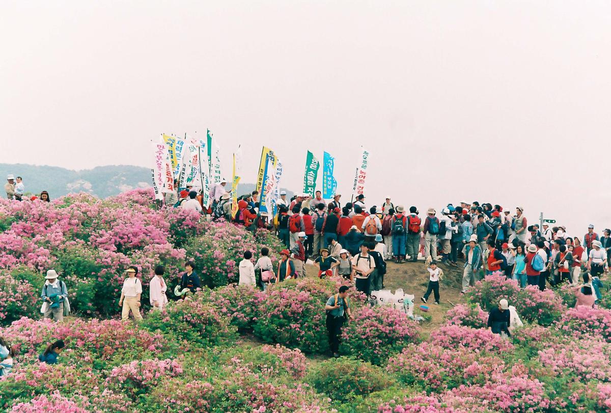 제6회 황매산 철쭉제례
