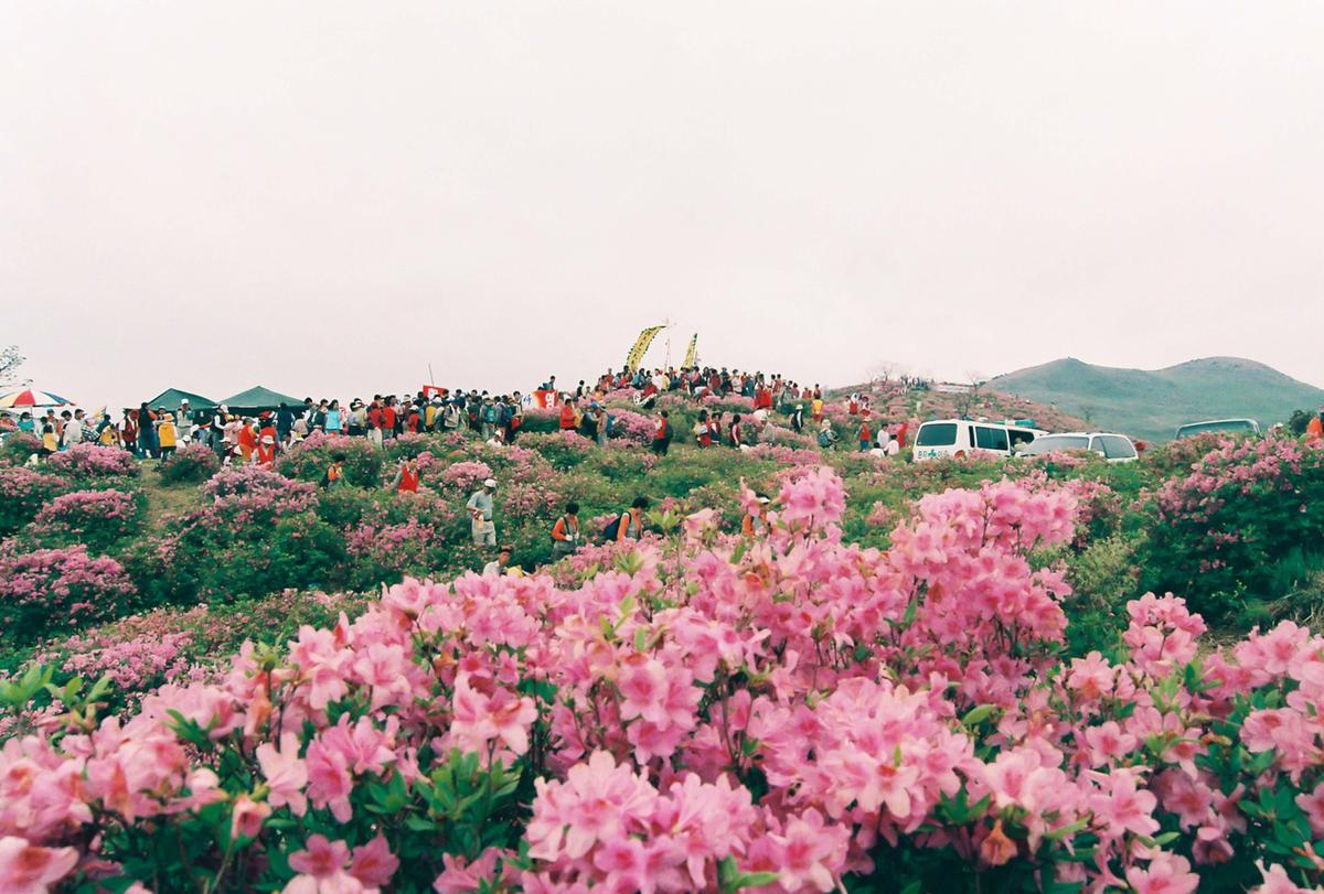 제6회 황매산 철쭉제례