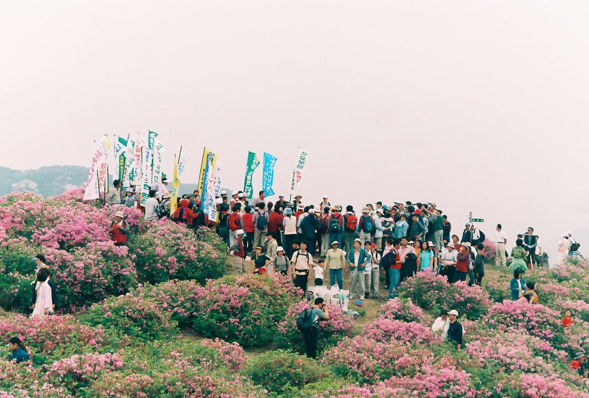 제6회 황매산 철쭉제례