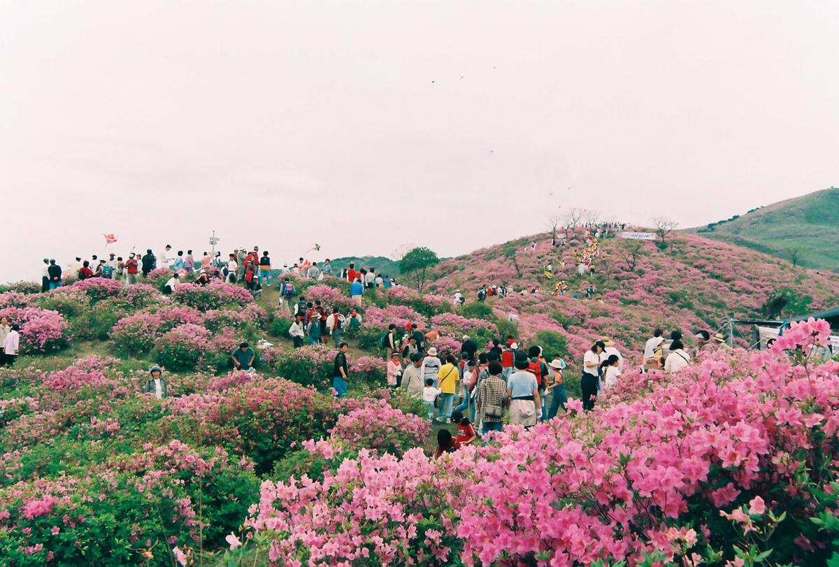 제6회 황매산 철쭉제례