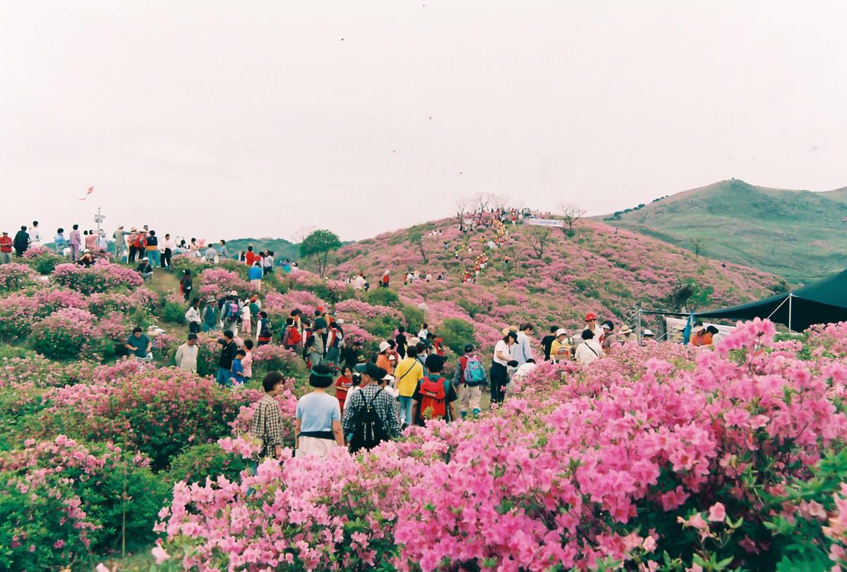 제6회 황매산 철쭉제례