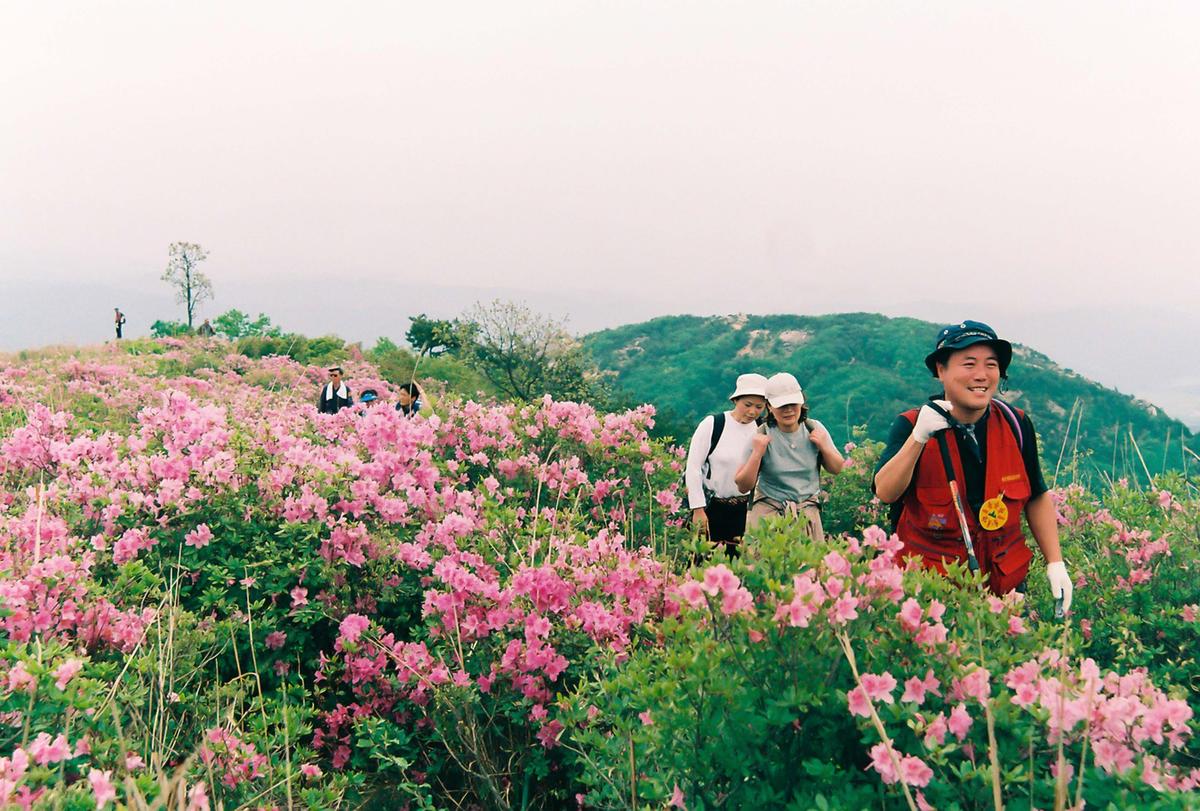 제6회 황매산 철쭉제례