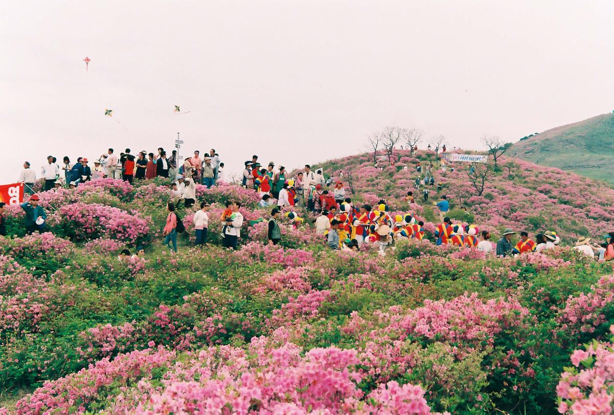 제6회 황매산 철쭉제례