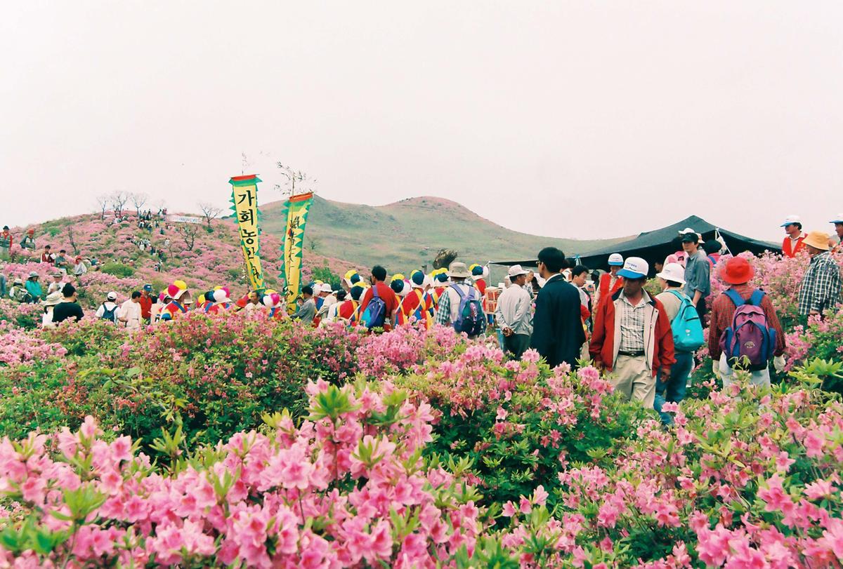 제6회 황매산 철쭉제례