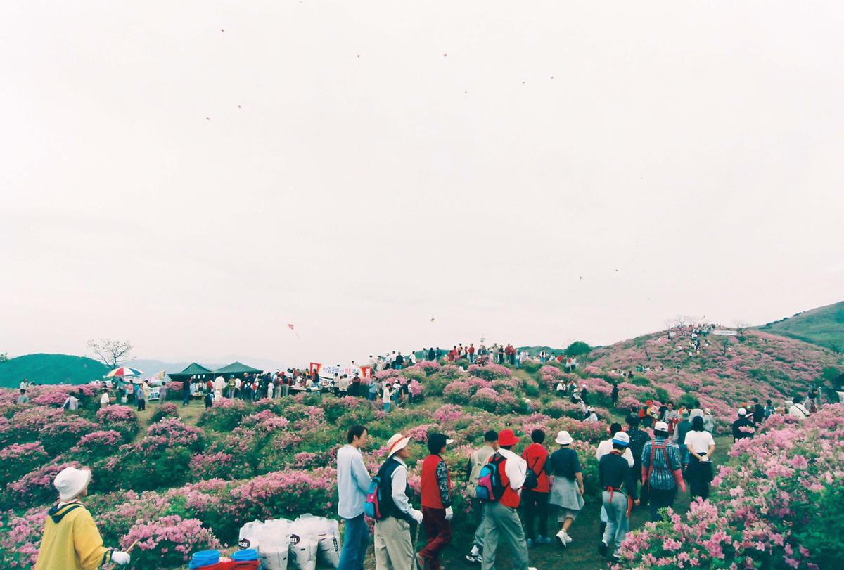 제6회 황매산 철쭉제례