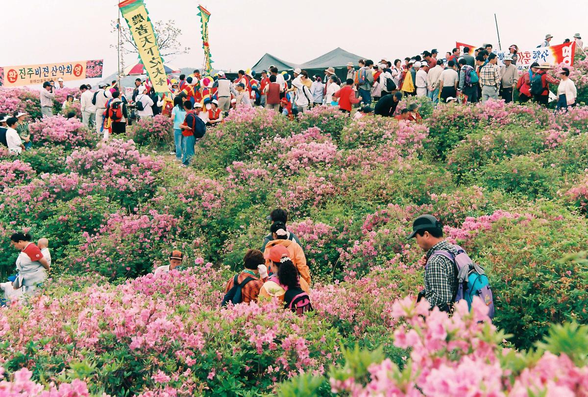 제6회 황매산 철쭉제례