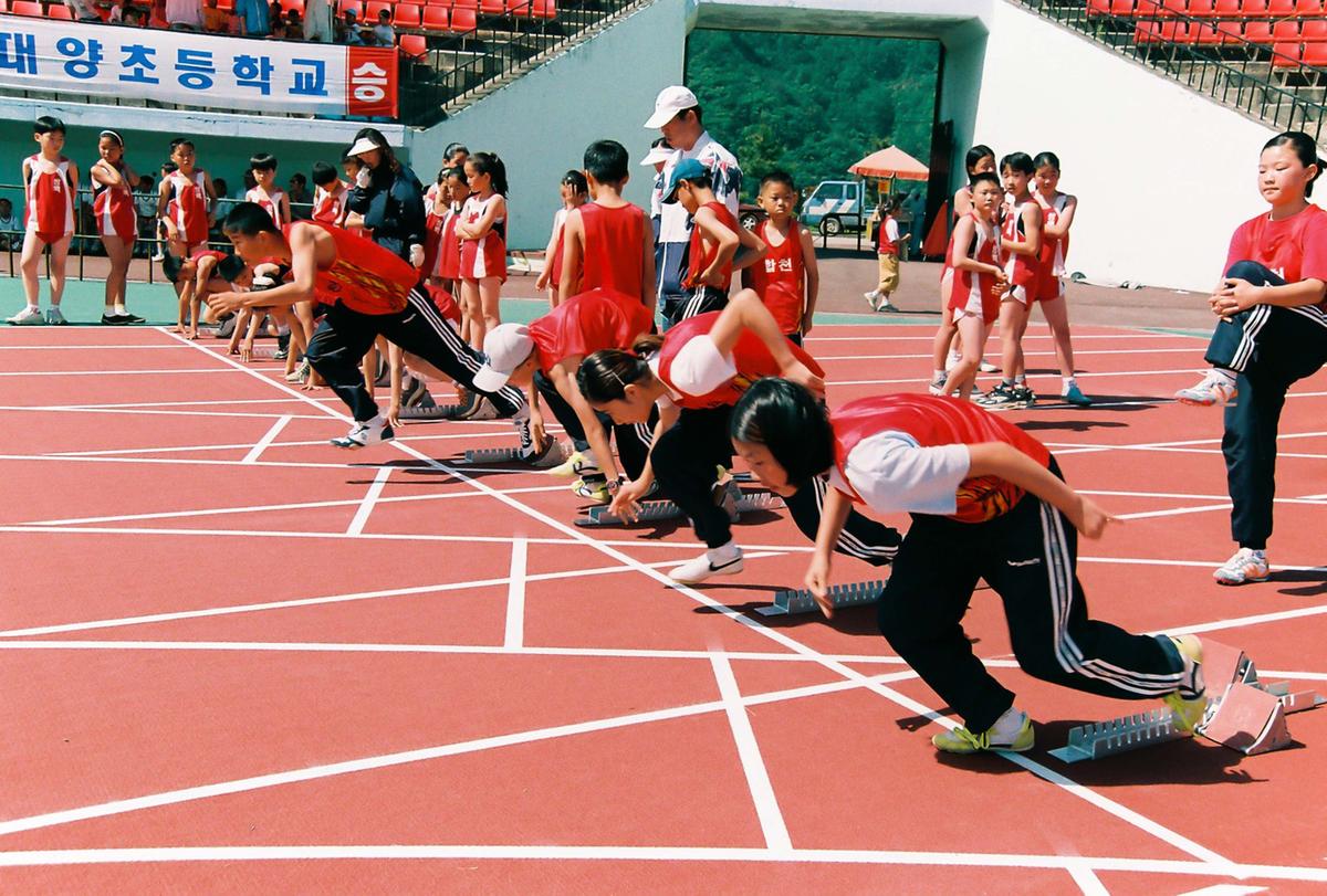 제11기 교육장기 학교대항 육상대회