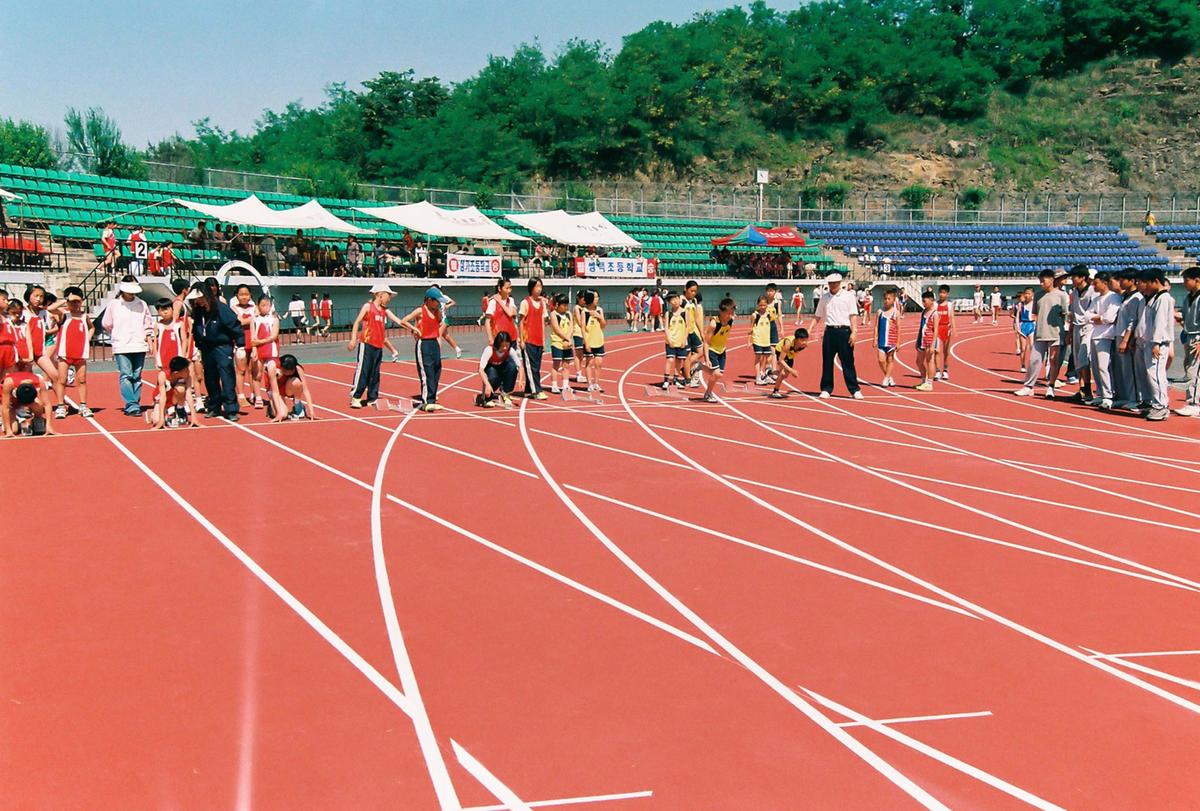 제11기 교육장기 학교대항 육상대회