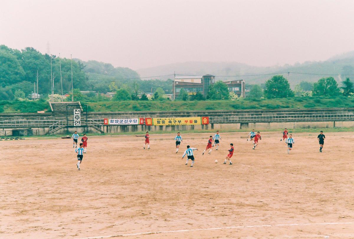제41회 도민체육대회