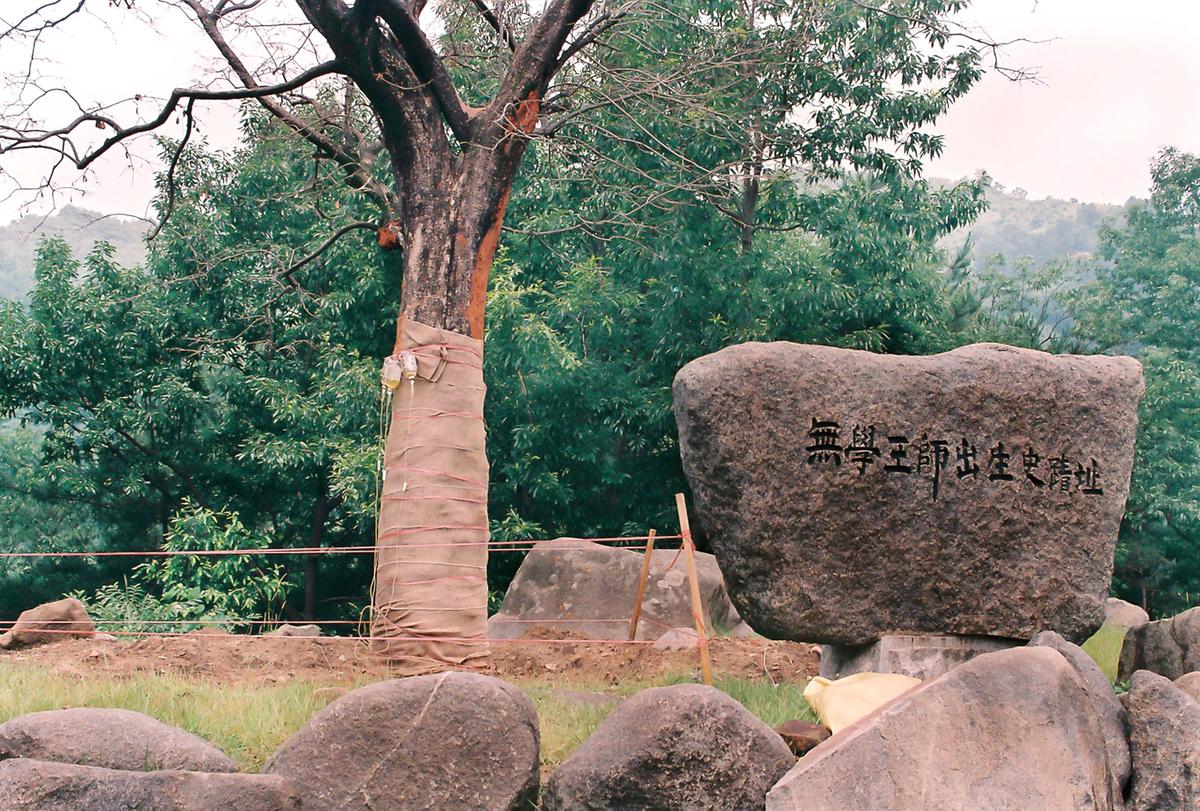 문화재보호