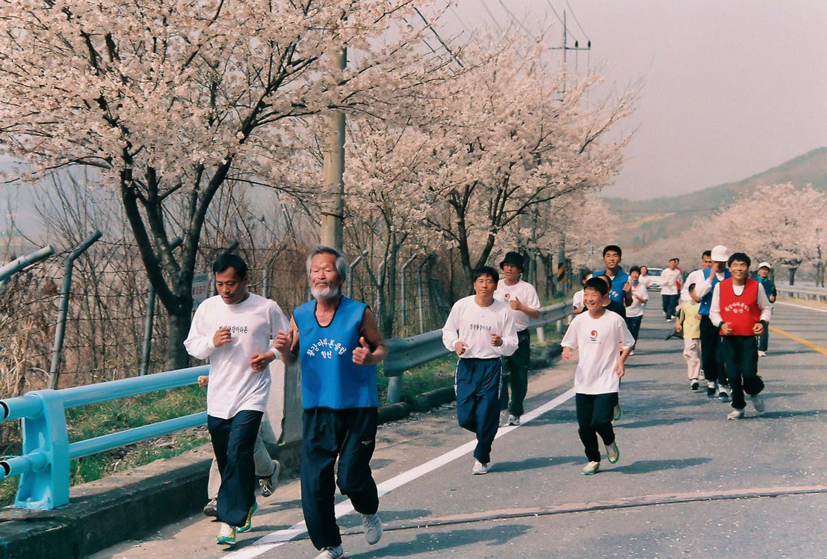 벚꽃