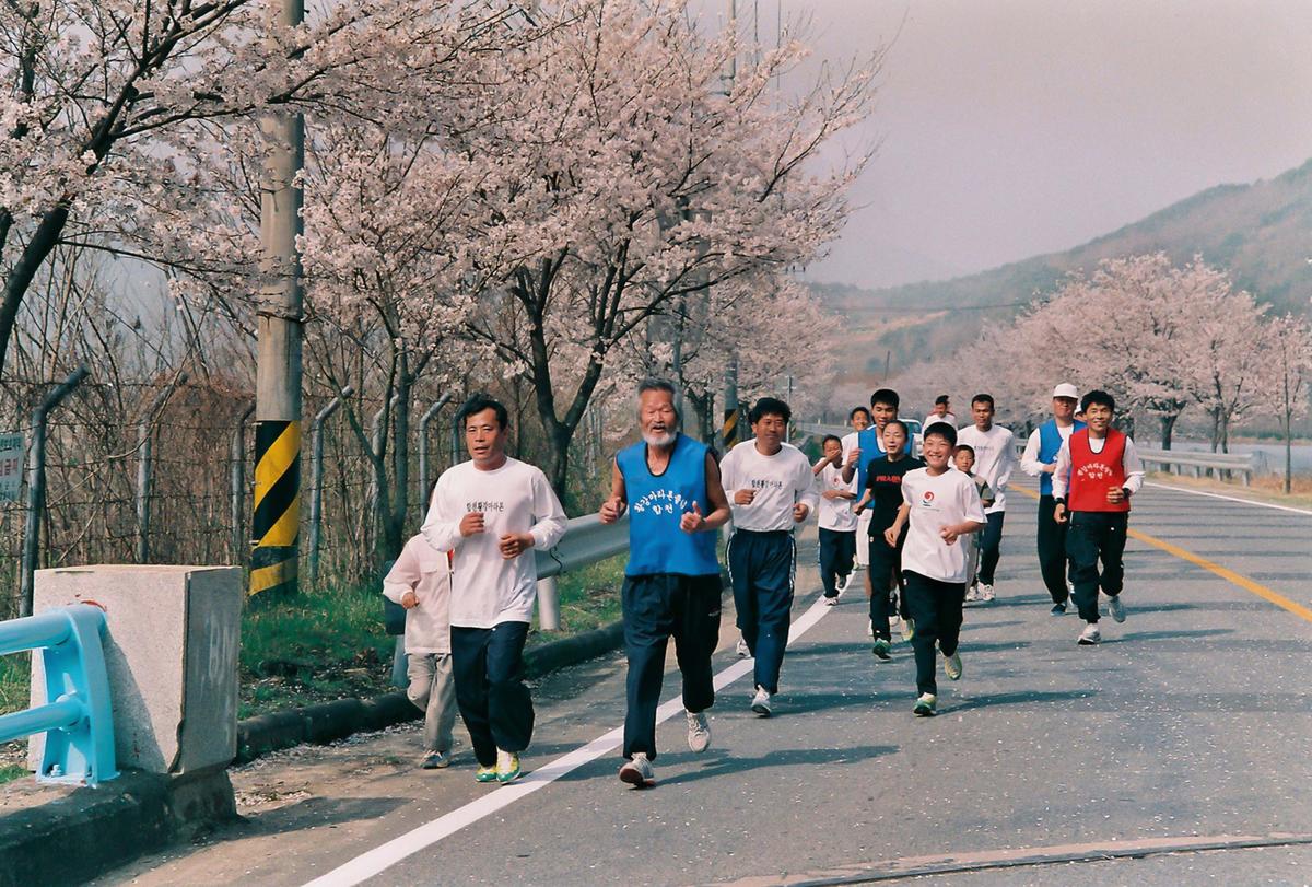 벚꽃