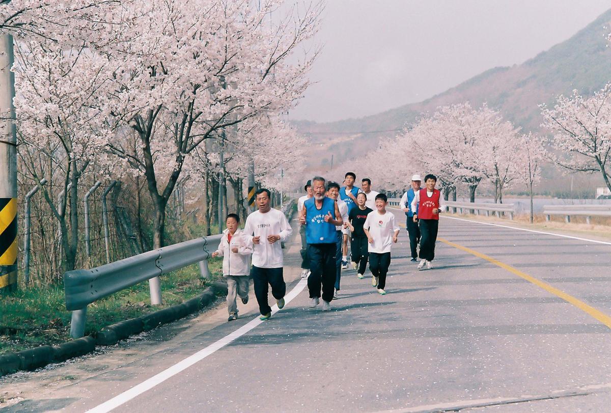 벚꽃