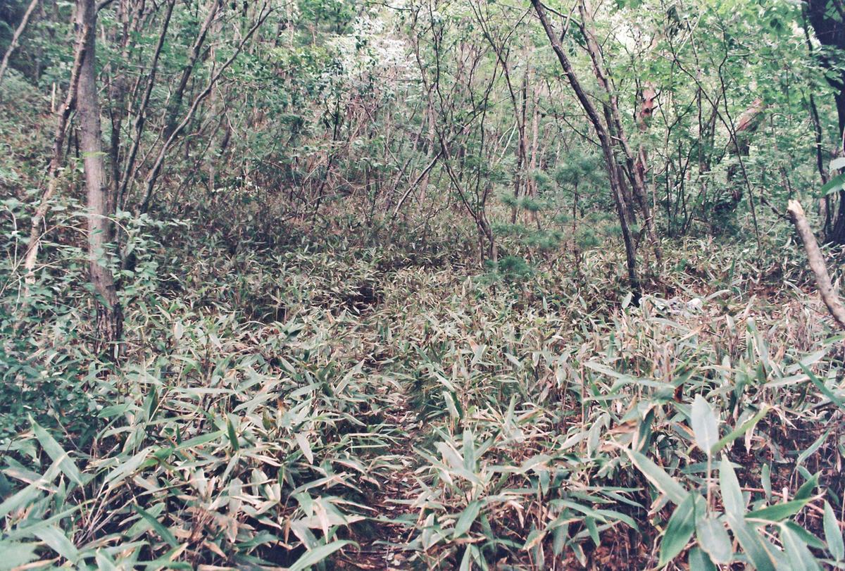 풍경