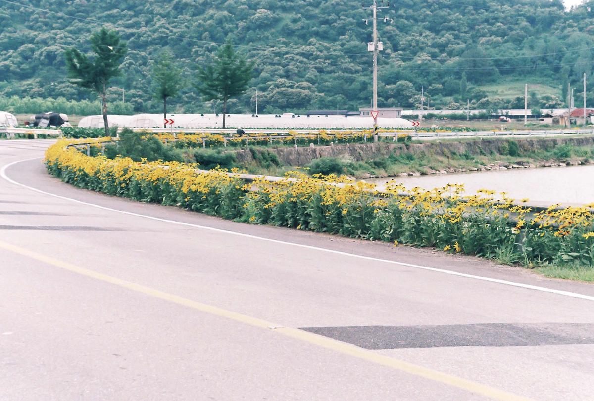 꽃길