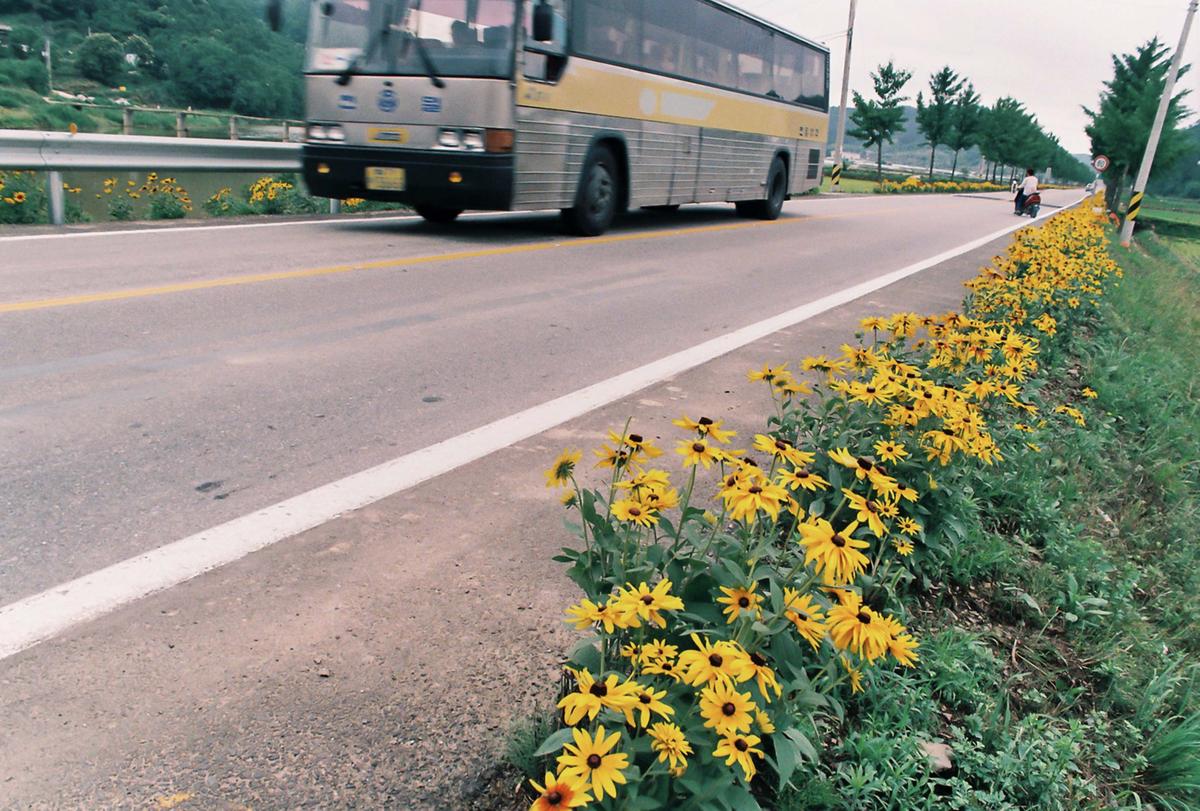 꽃길