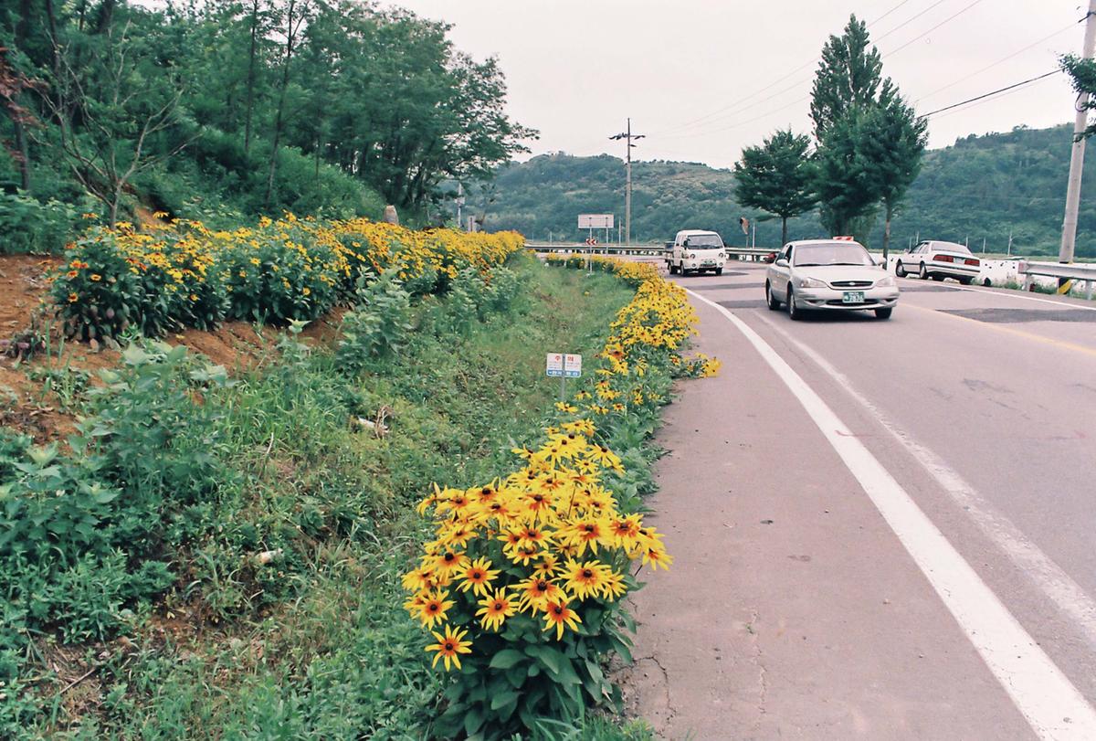 꽃길
