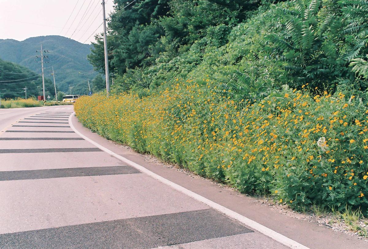 풍경