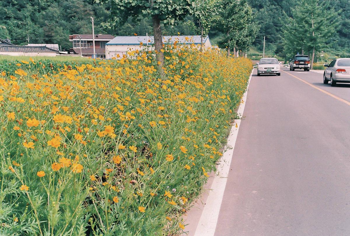 풍경