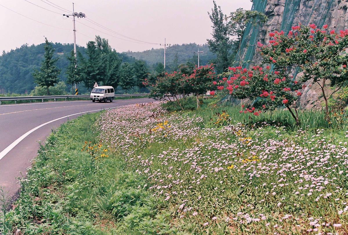 풍경