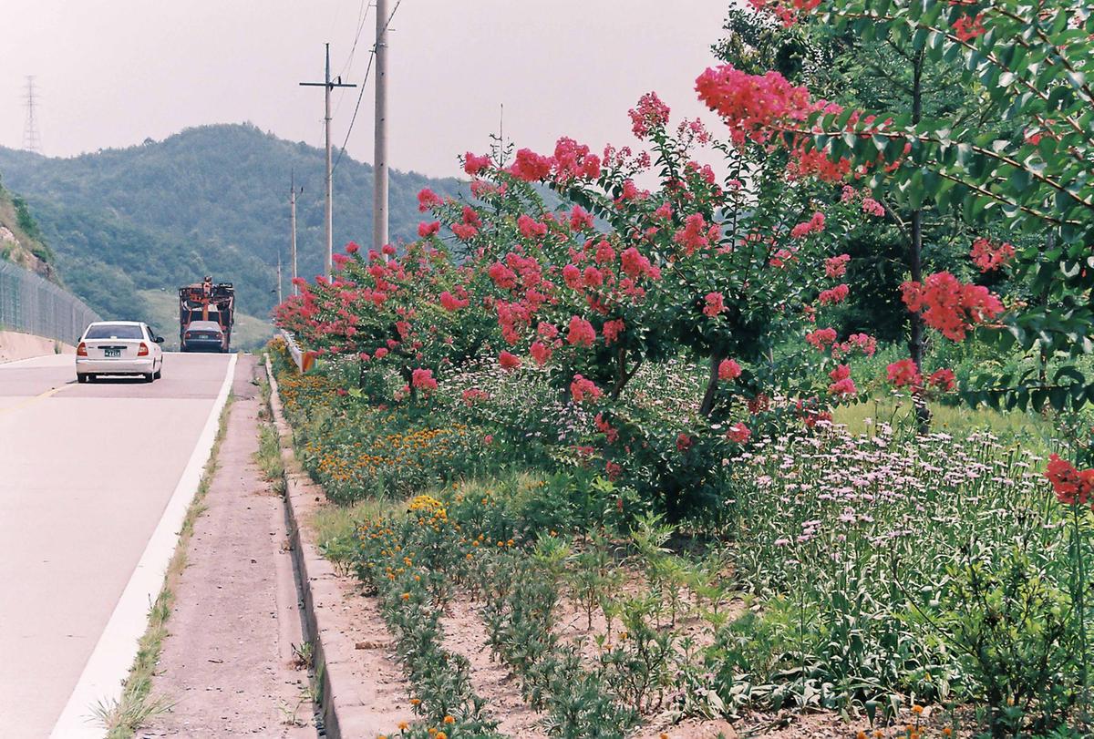 풍경
