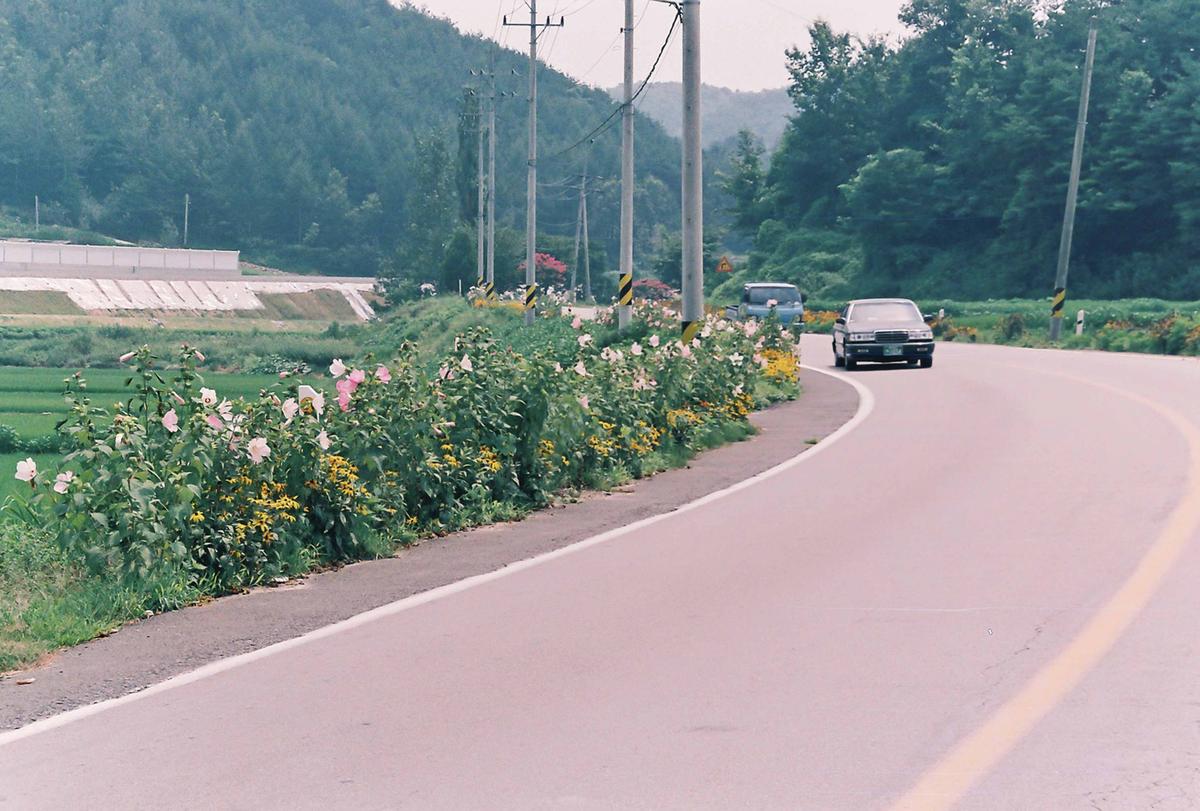 풍경