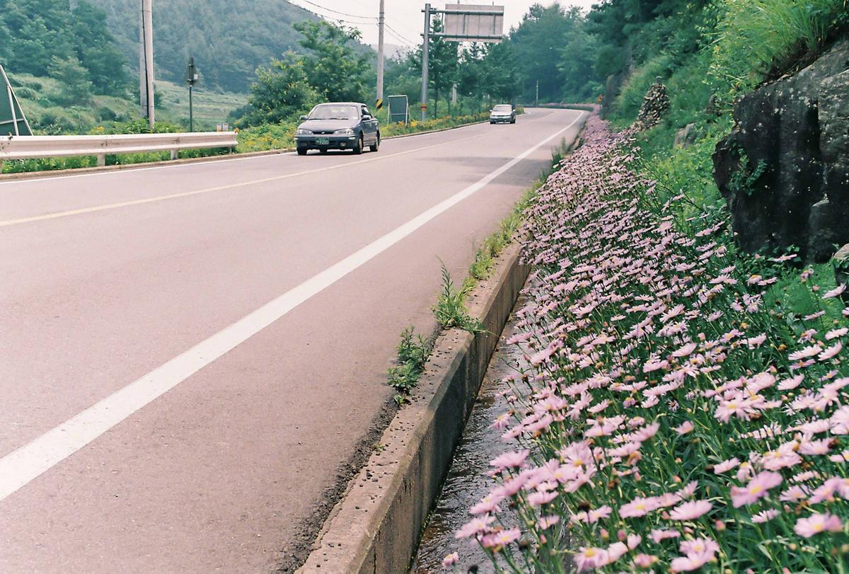 풍경