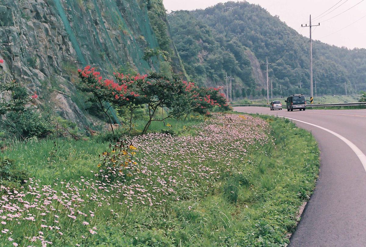 풍경