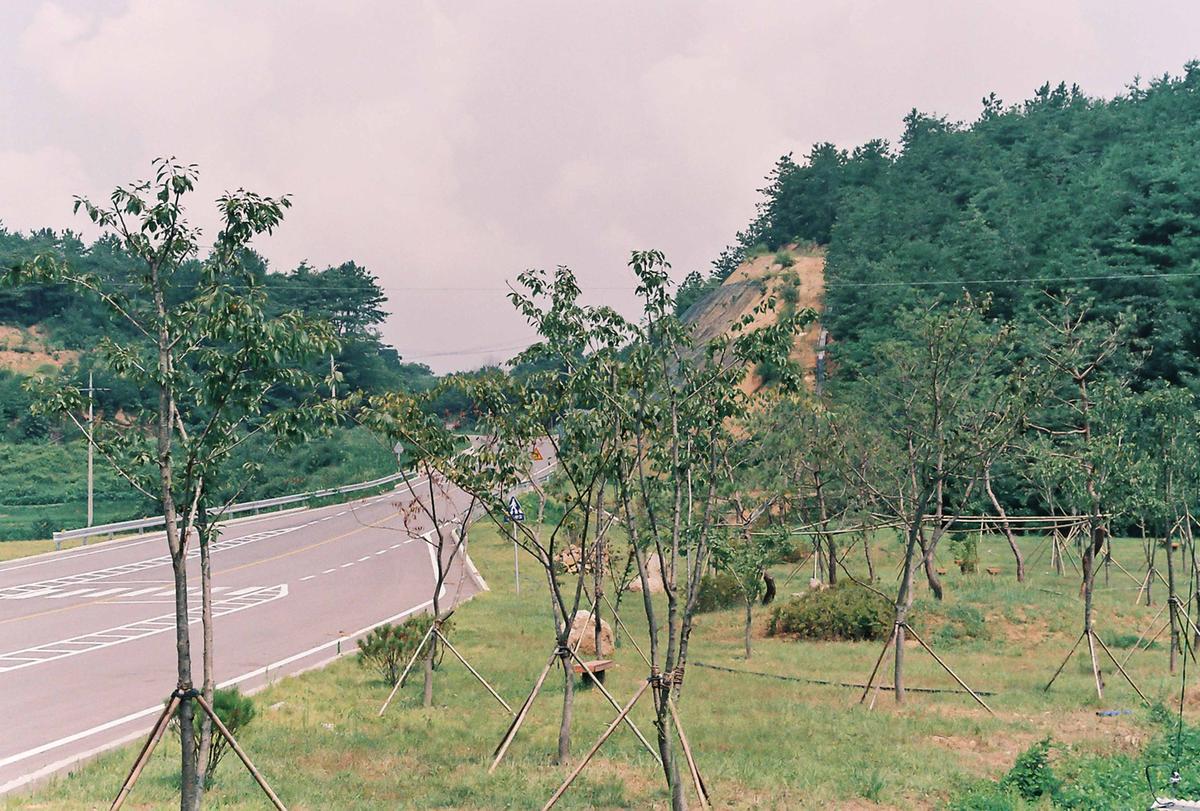 도로조경