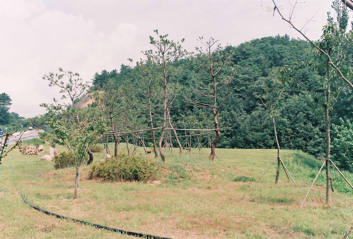 도로조경