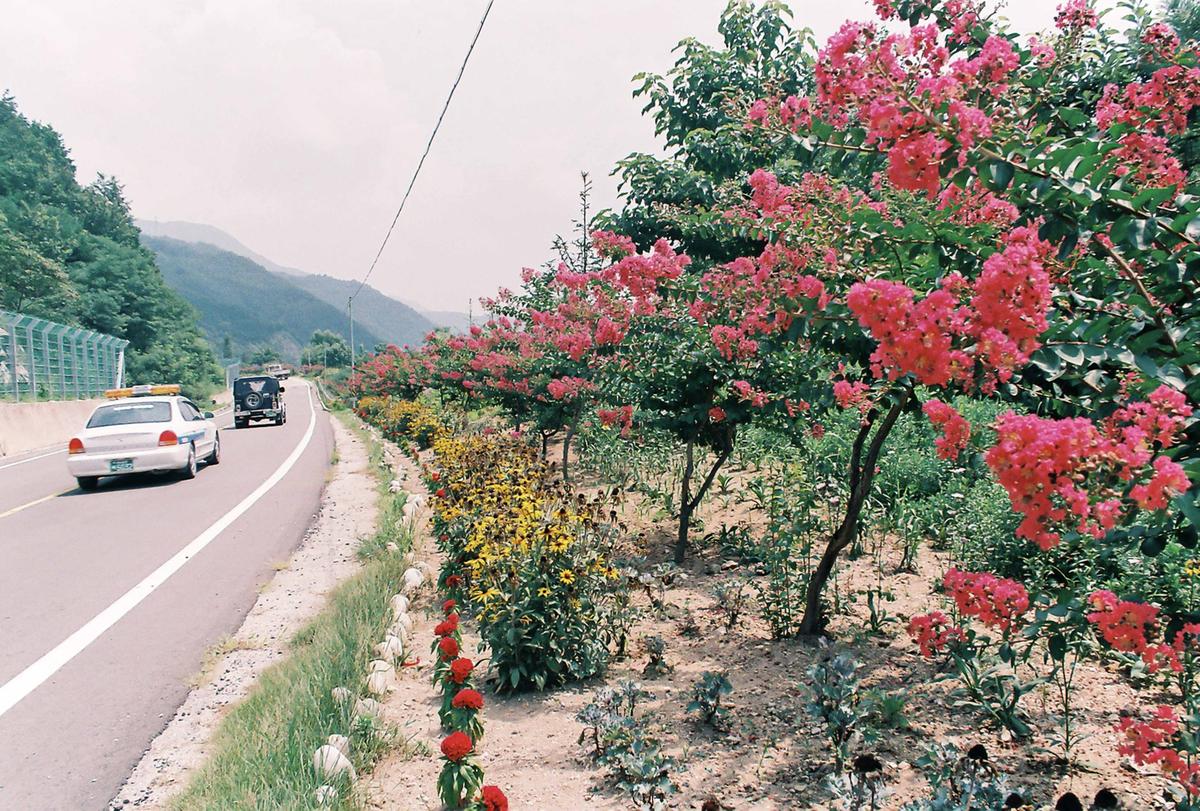 도로조경
