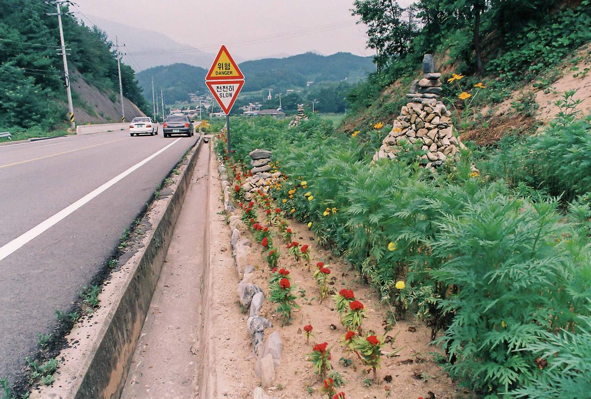 도로조경