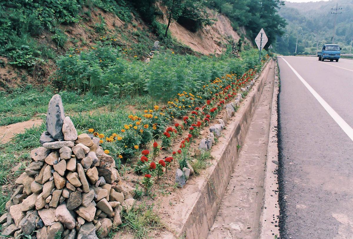 도로조경