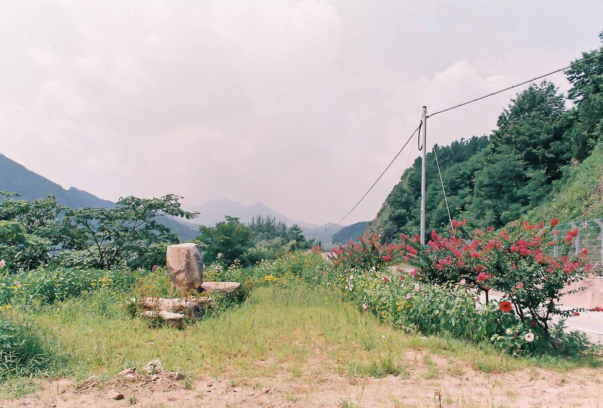 도로조경