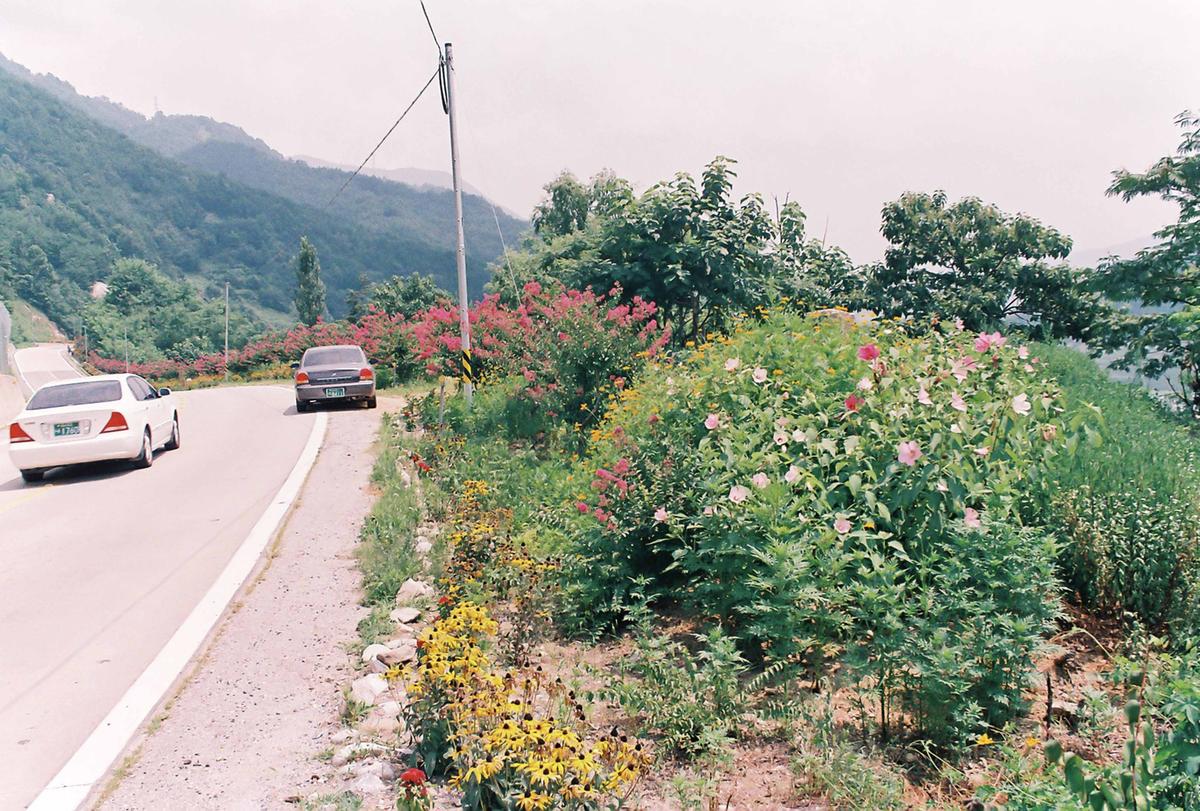 도로조경